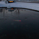 Illustration for article titled I Am Taken By The Ethereal Beauty Of This Car Crashed Into A Pond